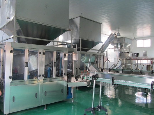 Technologie 10000 kg mineraalwater productielijn voor grootschalige productie