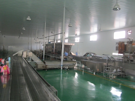 Technologie 10000 kg mineraalwater productielijn voor grootschalige productie