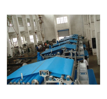 Fabricage Plant Belt Type Fresh Fruit Press And Juice Extractor Met Eenvoudige Bediening