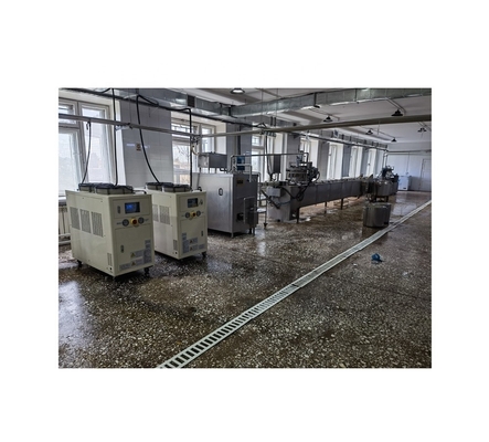 Hoogproductieve volledige automatische ijsverwerkingslijn met machinefunctie