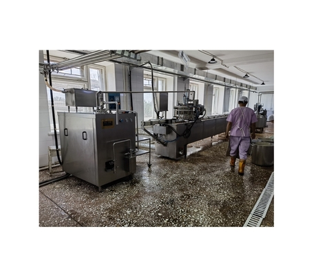 Hoogproductieve volledige automatische ijsverwerkingslijn met machinefunctie