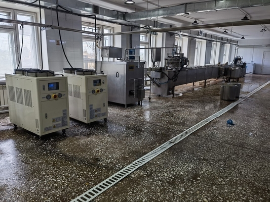 Hoogproductieve volledige automatische ijsverwerkingslijn met machinefunctie