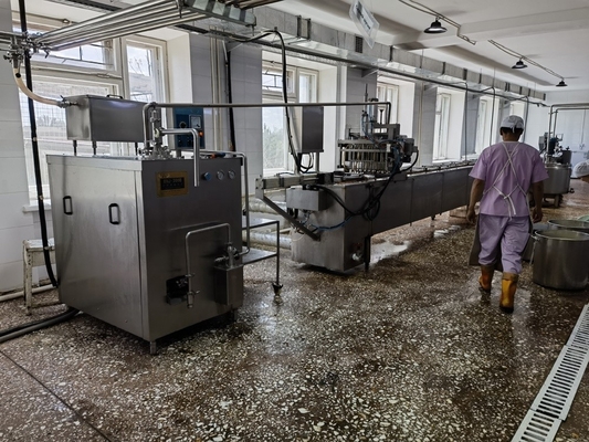 Hoogproductieve volledige automatische ijsverwerkingslijn met machinefunctie