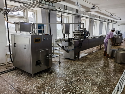 Hoogproductieve volledige automatische ijsverwerkingslijn met machinefunctie