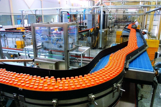 Een revolutionaire fabriek voor de productie van sap met een smaak van papaja voor de productie van dranken