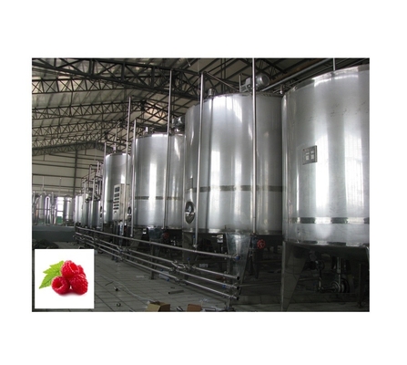 Verwerkingsinstallatie voor roestvrij staal 304/316 vers fruitpulp frambozenpuree voor dranken