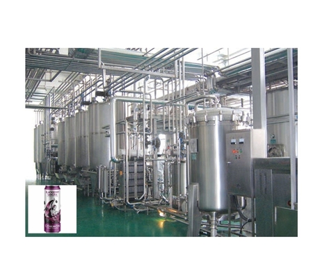 TORNKY PROJECT VAN BLACKBERRY CIDER verpakkingsfabriek en drankverwerkingslijn 0,5-500 t/h