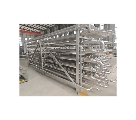 Standaardgrootte 4T Fruit Puree Tube in Tube Sterilisator met PLC Control System