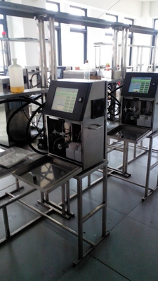 300 mm afdruk Afmeting Vervaldatum Flescodeprinter voor op maat gemaakte eisen 35 kg